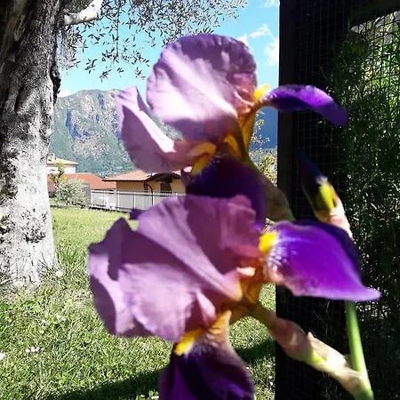 Lago E Ulivi Ferienhaus *
