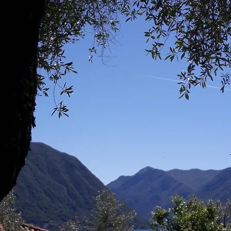 Lago E Ulivi Ossuccio
