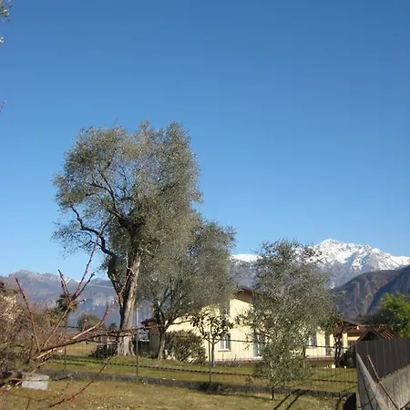 Lago E Ulivi