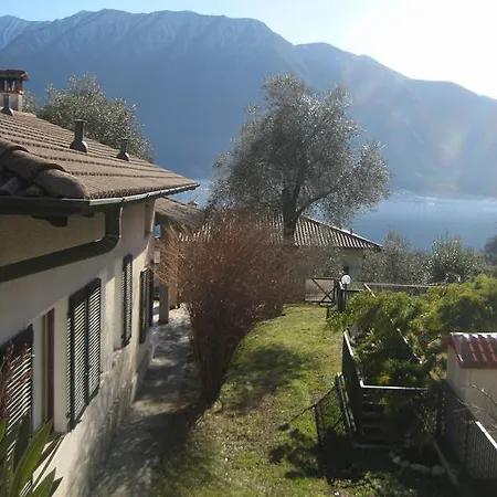 Lago E Ulivi