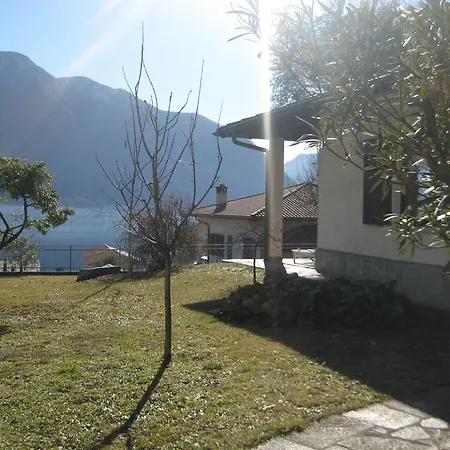 Lago E Ulivi *